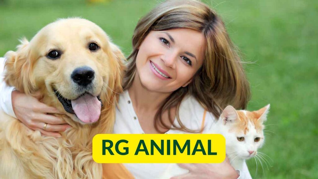 RG Para Cães e Gatos: Veja Como Tirar